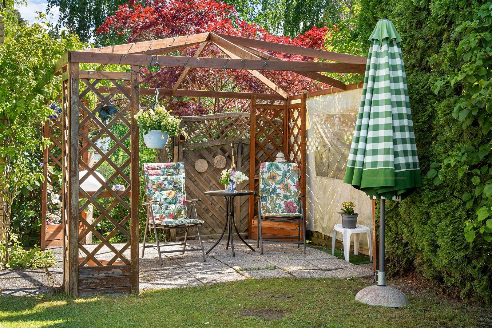 Pergola i hagen Galleribilde