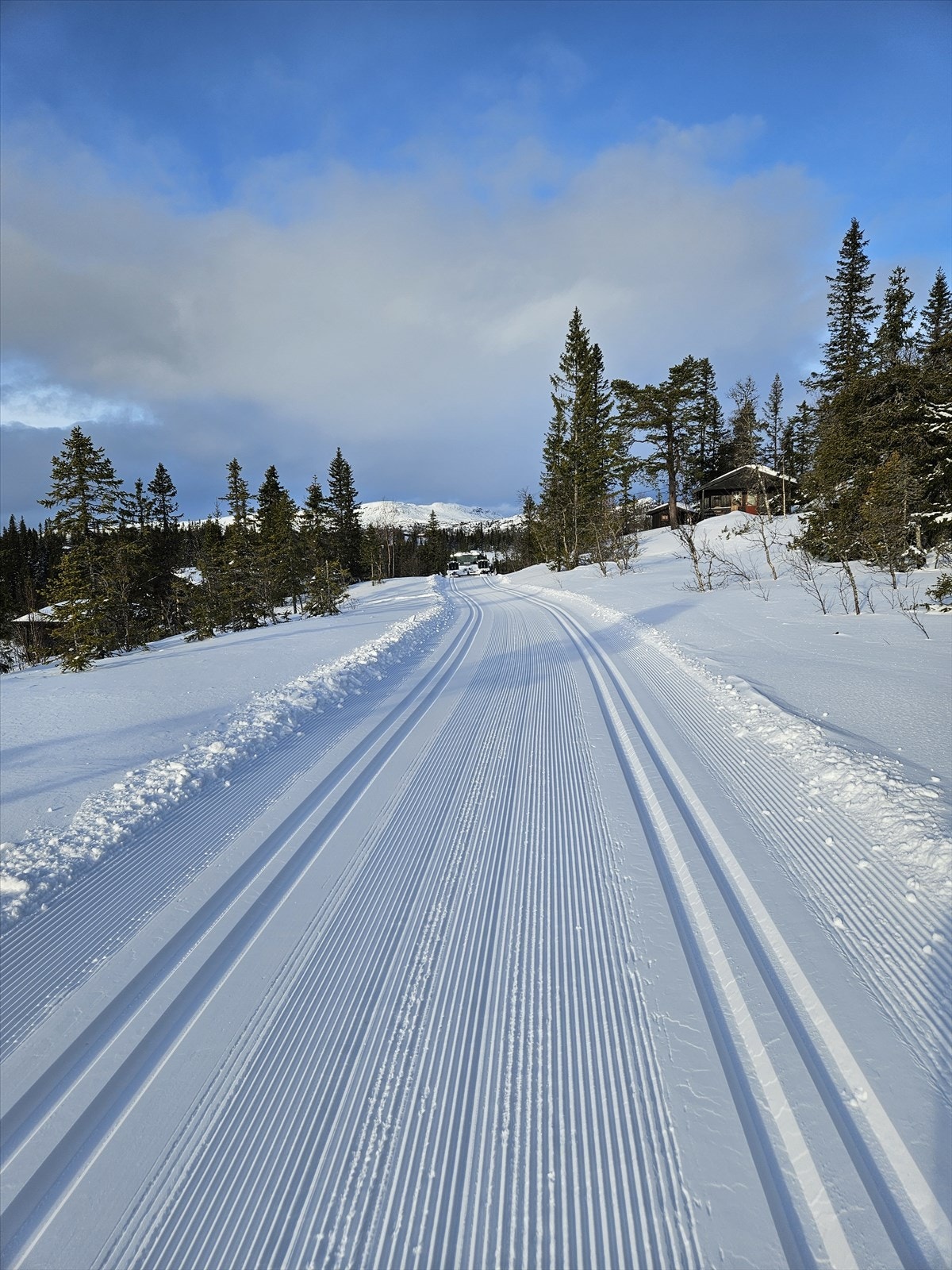 Selgers private bilde. Galleribilde