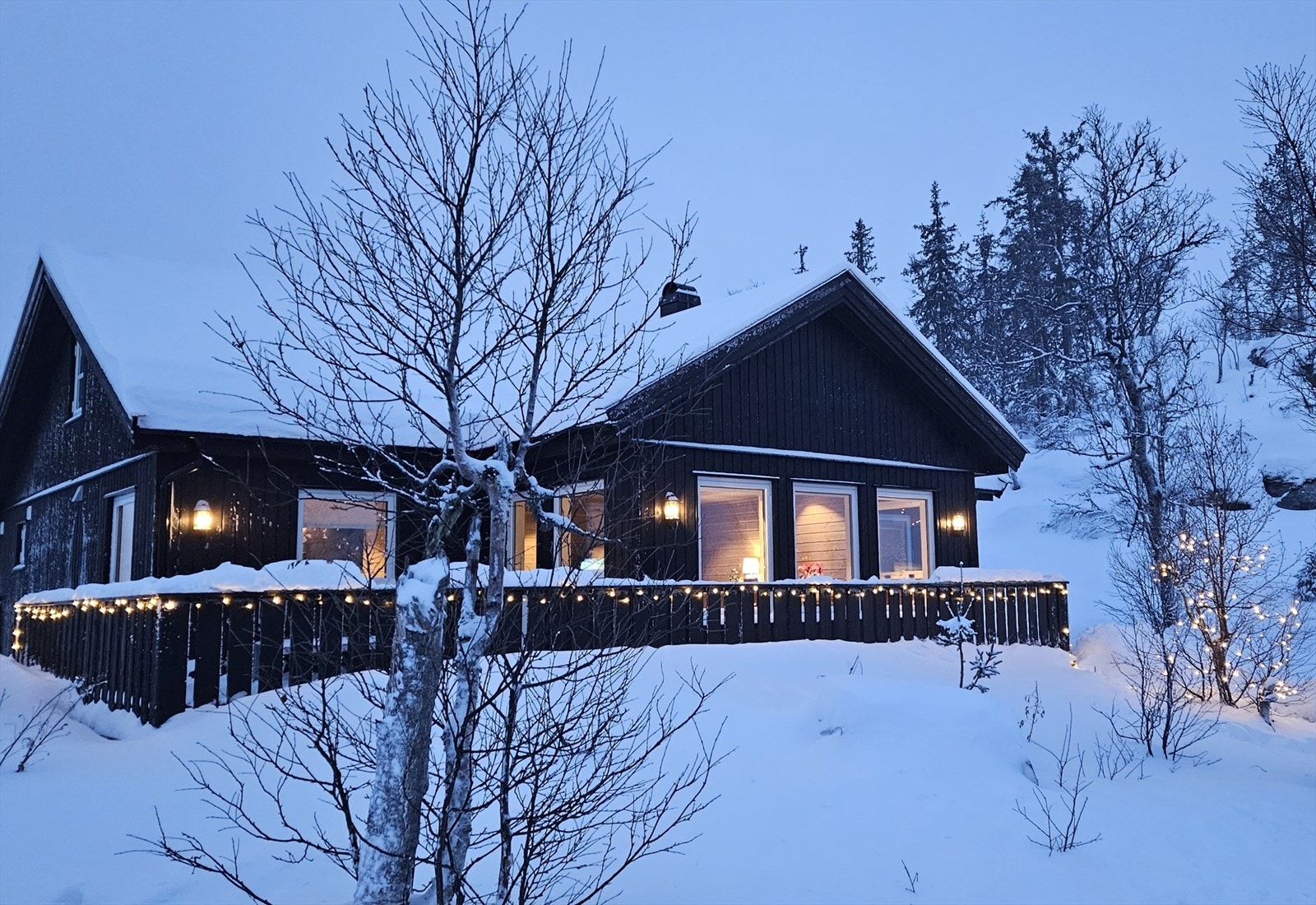 Selgers private bilde. Galleribilde