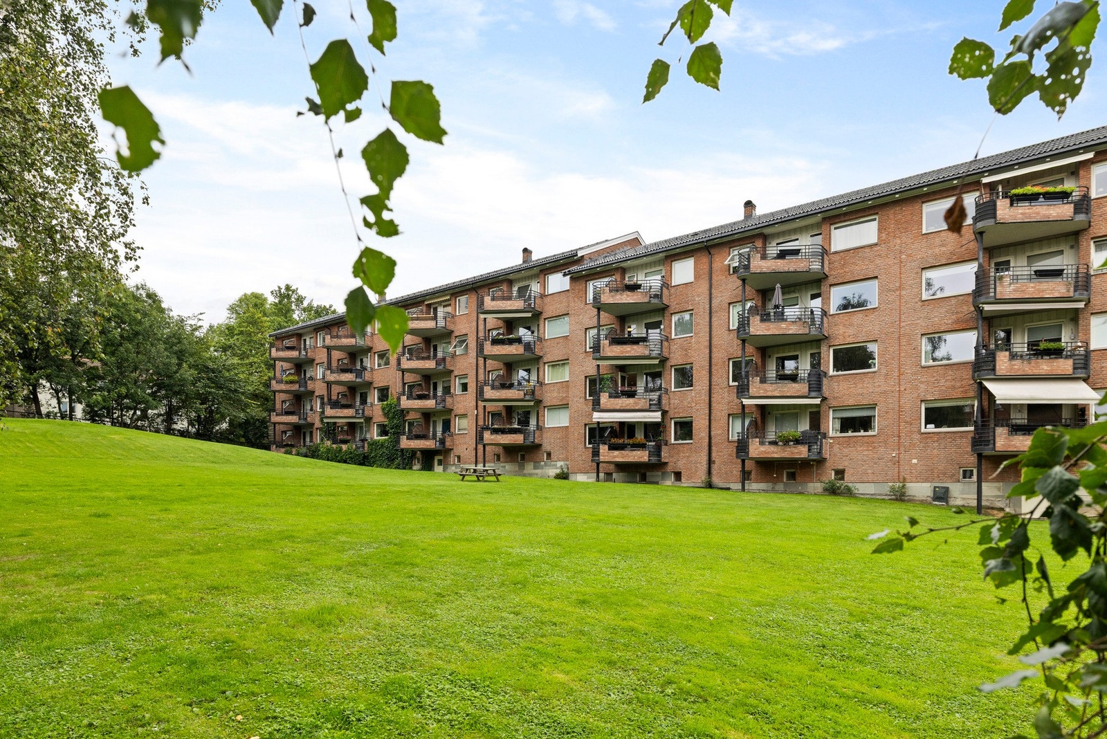 Tomten er felles og opparbeidet med busker, plen, trær og asfalterte områder Galleribilde