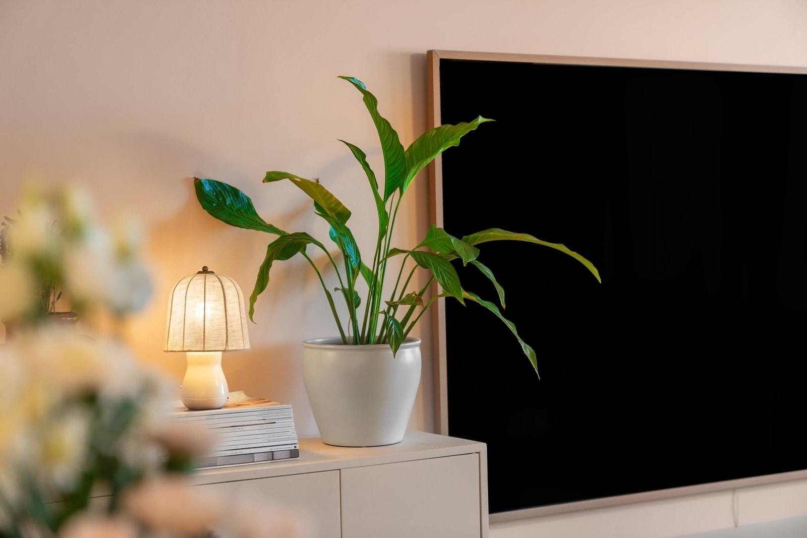 Alle overflater er nymalte. Galleribilde