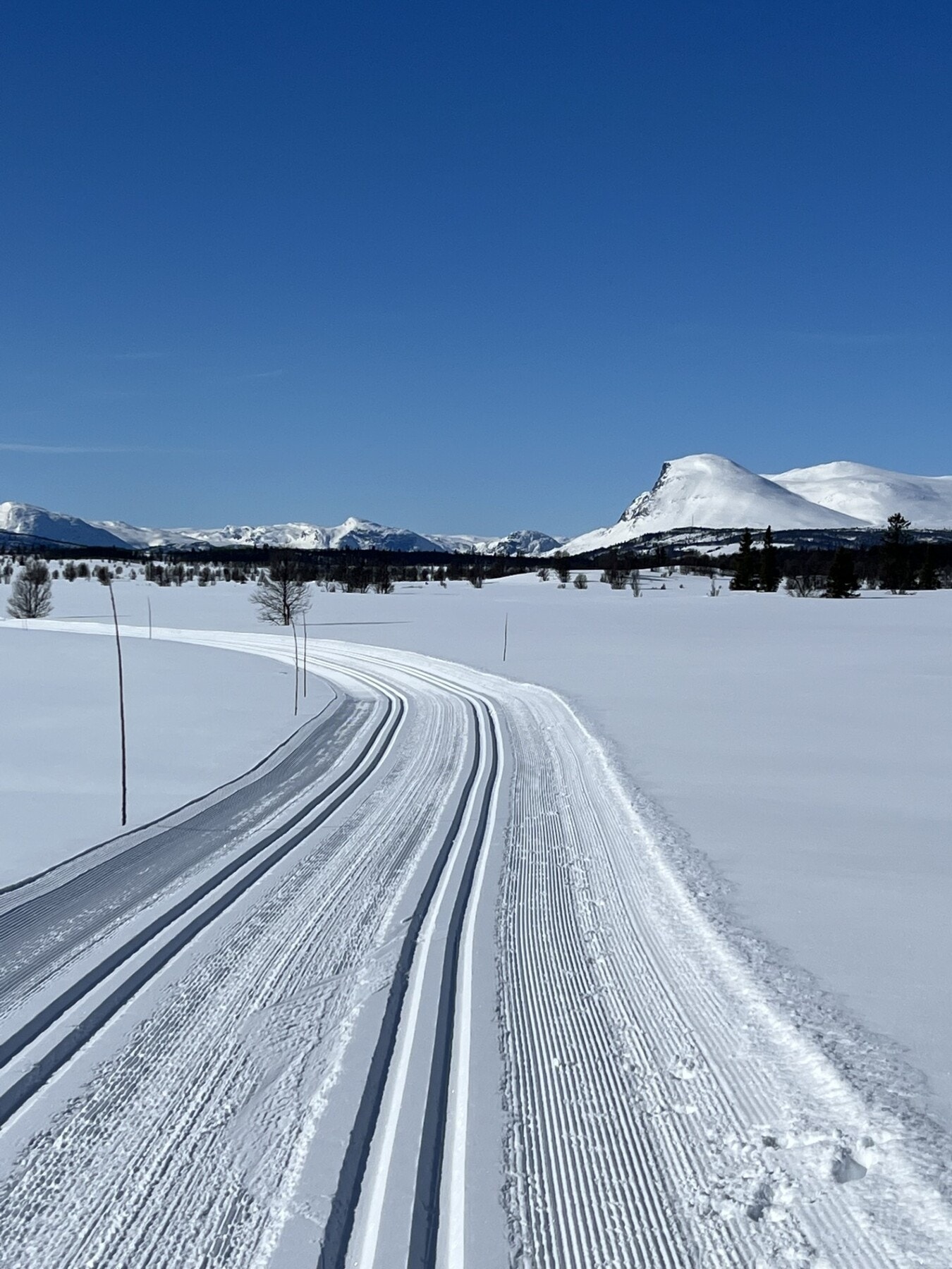 Nydelig forhold i skiløypa med vakre Skogshorn i sikte - bilde fra selgers arkiv Galleribilde