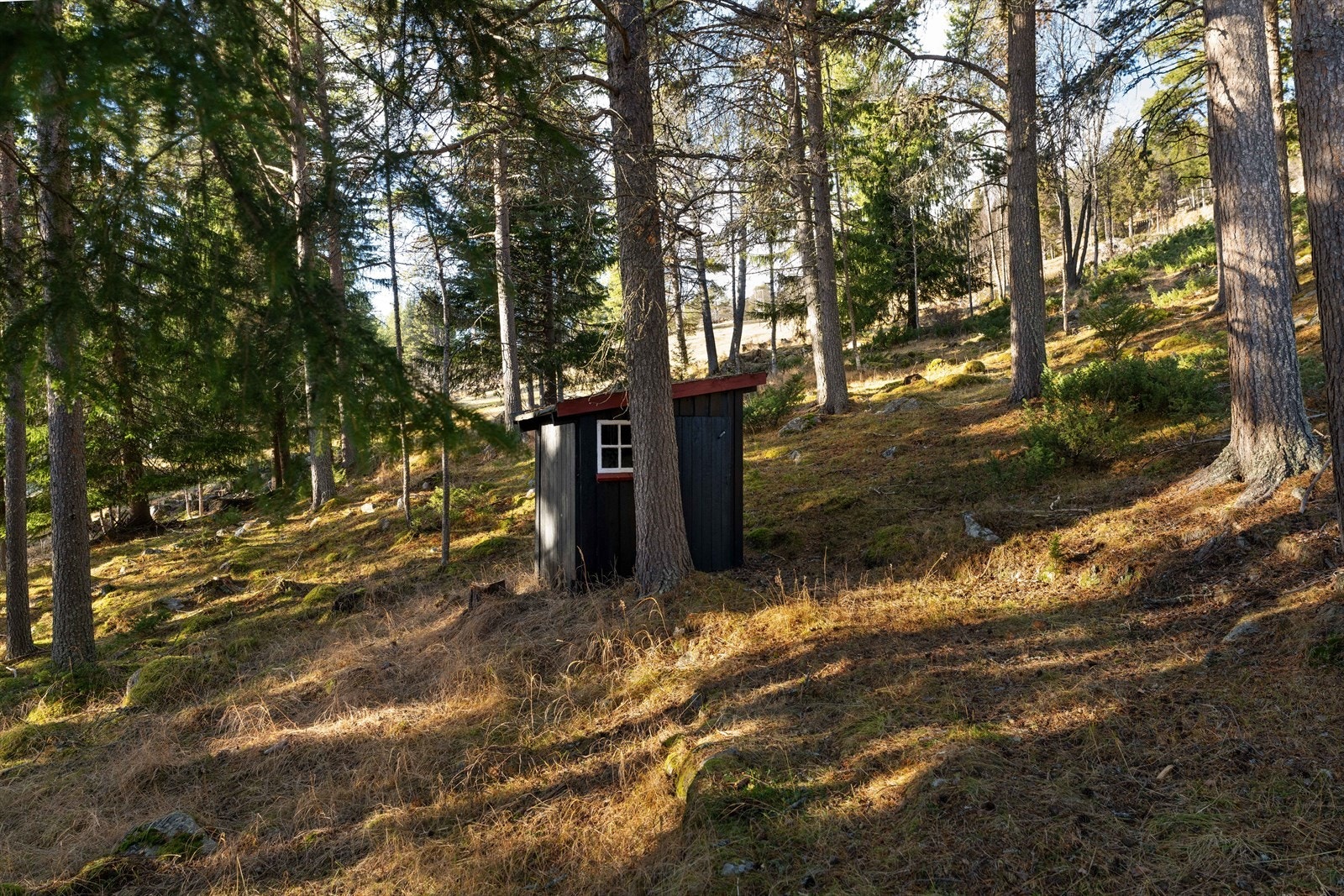 Utedo/bod. Galleribilde