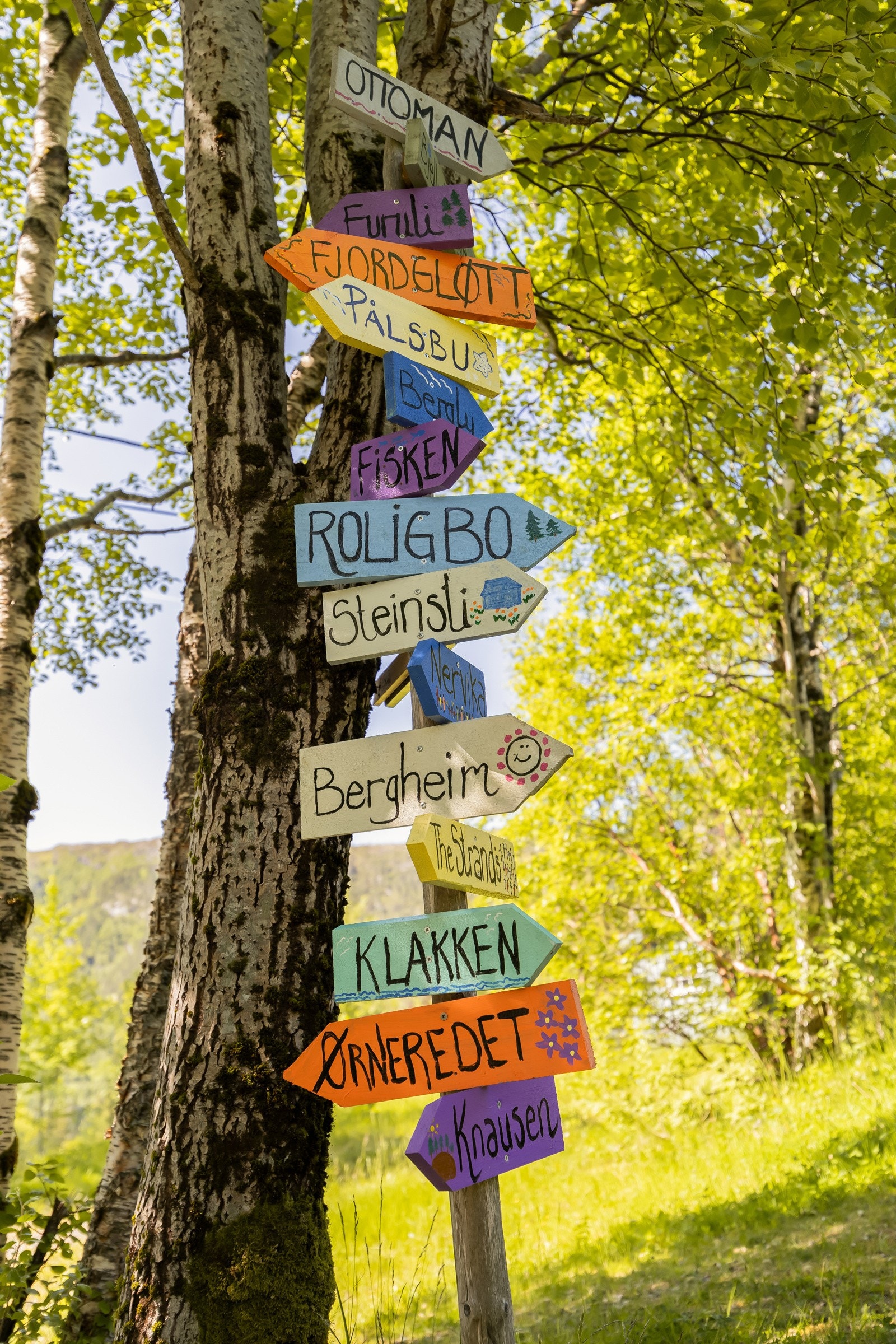 Område fremstår med et svært hyggelig og godt etablert hyttemiljø med flere felles tilstelninger gjennom året. Galleribilde