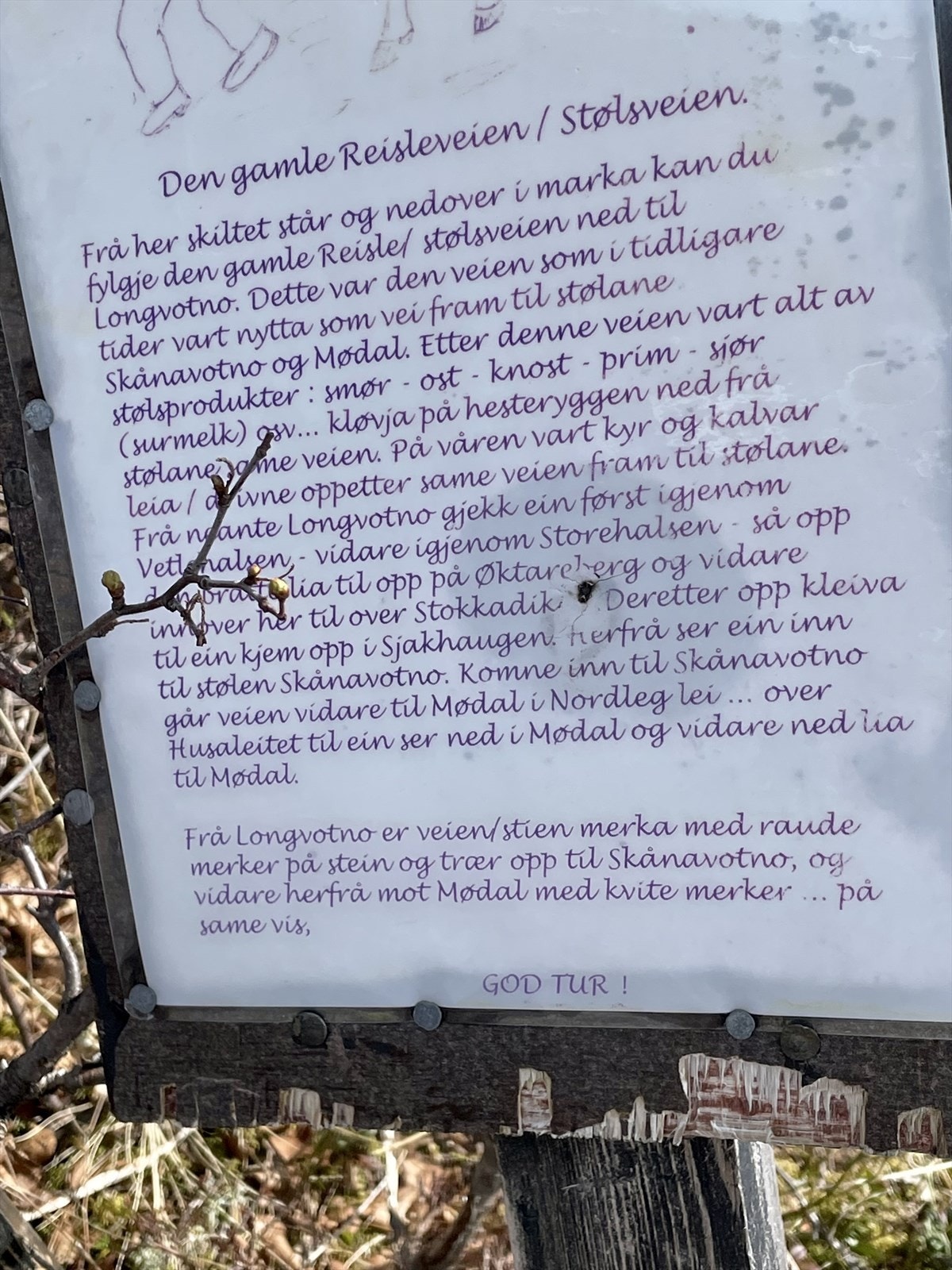 Fine turområder i nærheten Galleribilde