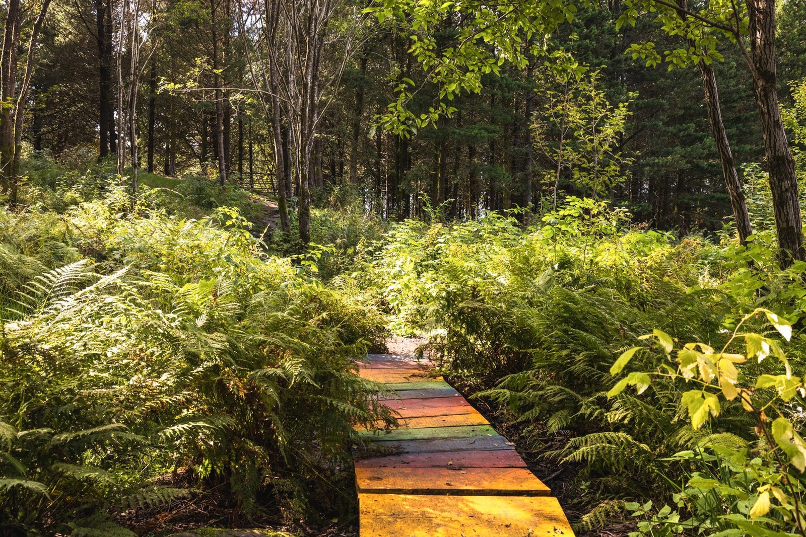 Området byr også på flotte turmuligheter på Lyderhornsfjellet, Grøntua og Ørnafjell. Galleribilde