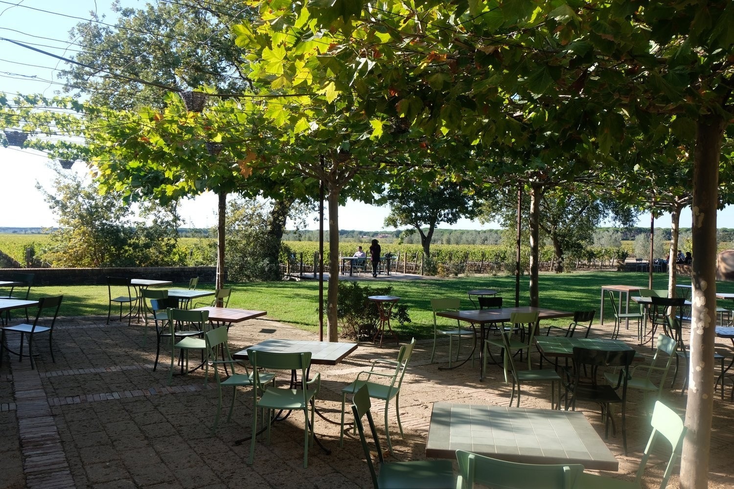 Bolgheri Galleribilde