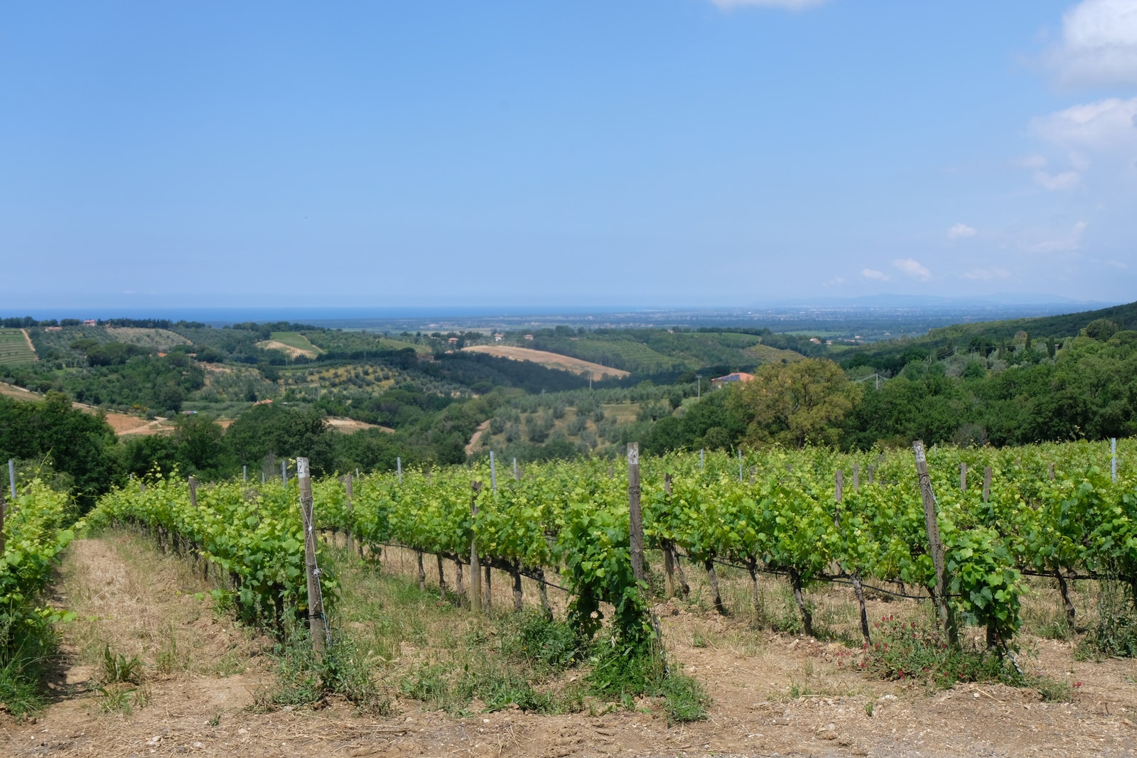 Foto 7.06.2023 Galleribilde