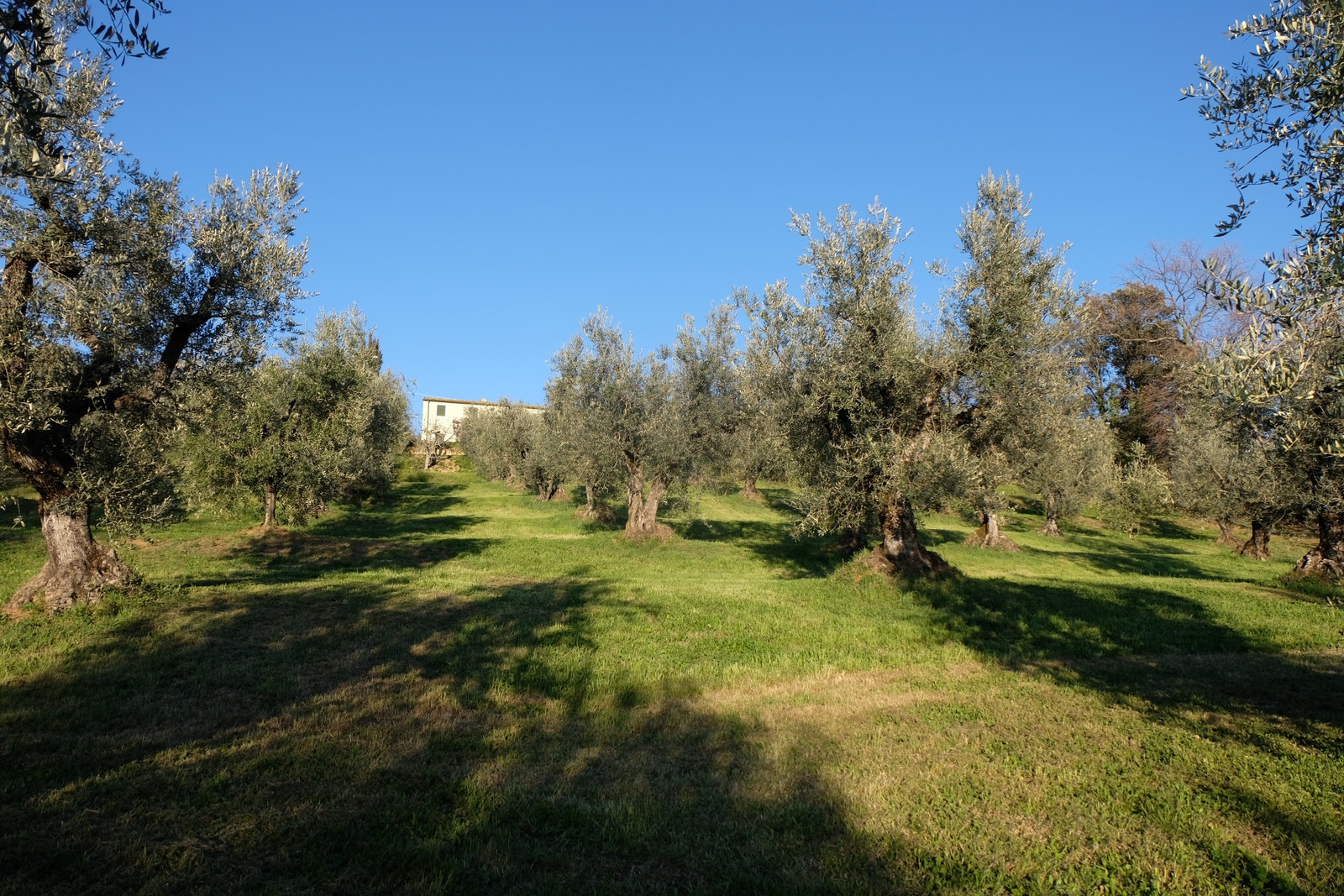 Foto tatt 28.03.2023 Galleribilde