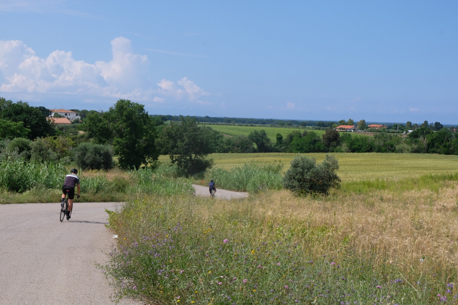 Bolgheri 07.06.2023 Galleribilde