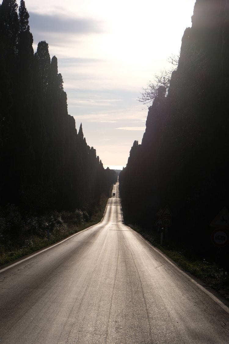Bolgheri Galleribilde
