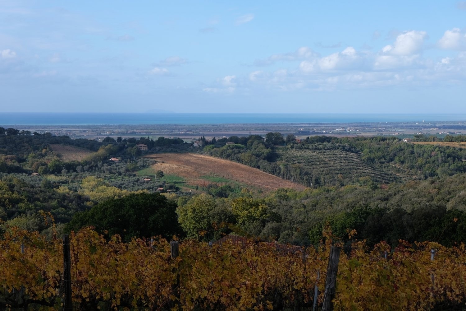 Attraktiv beliggenhet Galleribilde