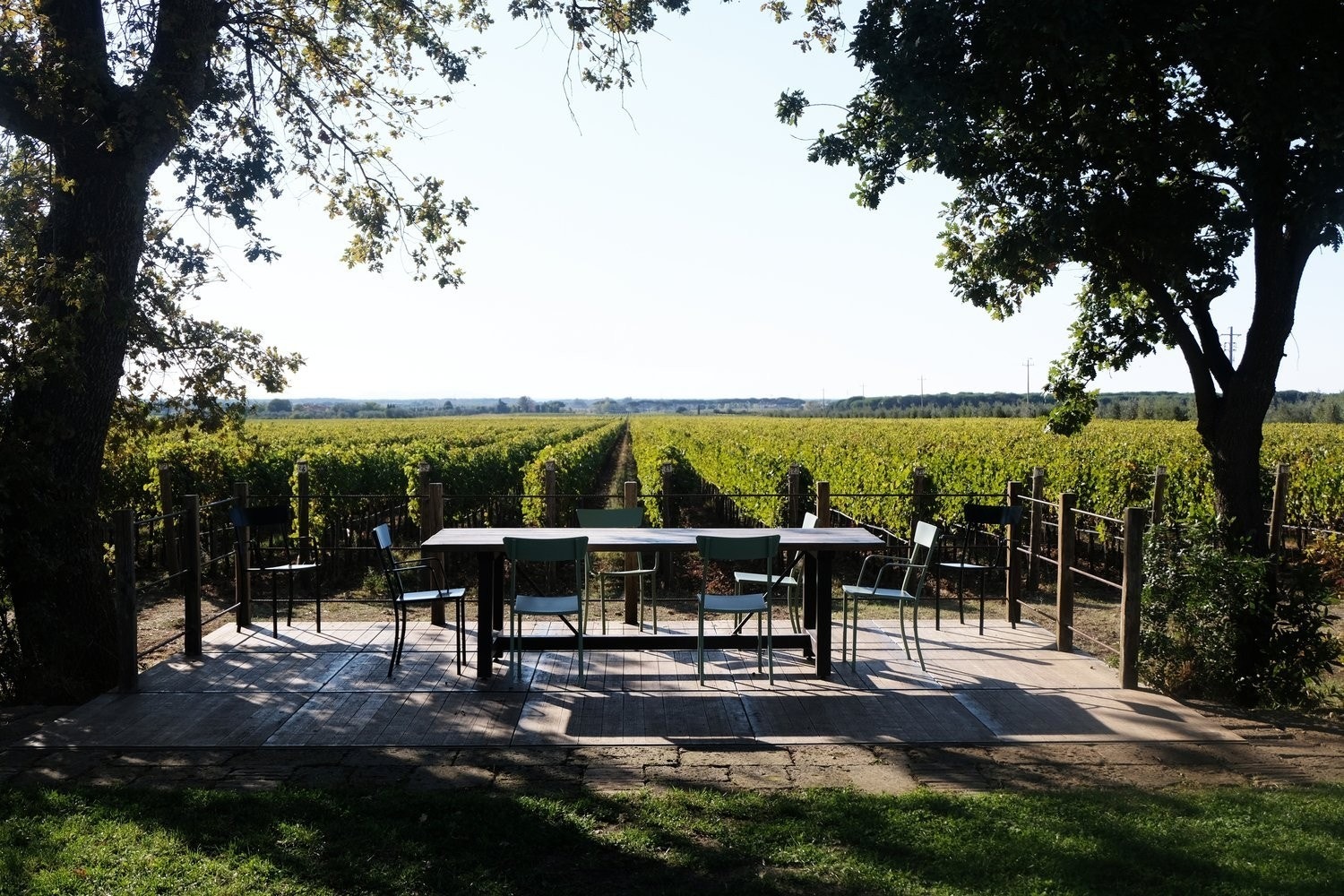 Utsikt fra restauranten Tenuta Guado al Tasso, Bolgheri Galleribilde