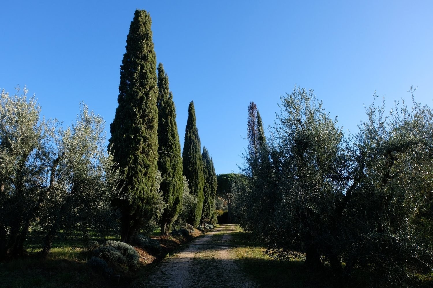 Inngangsportal til eiendom Galleribilde