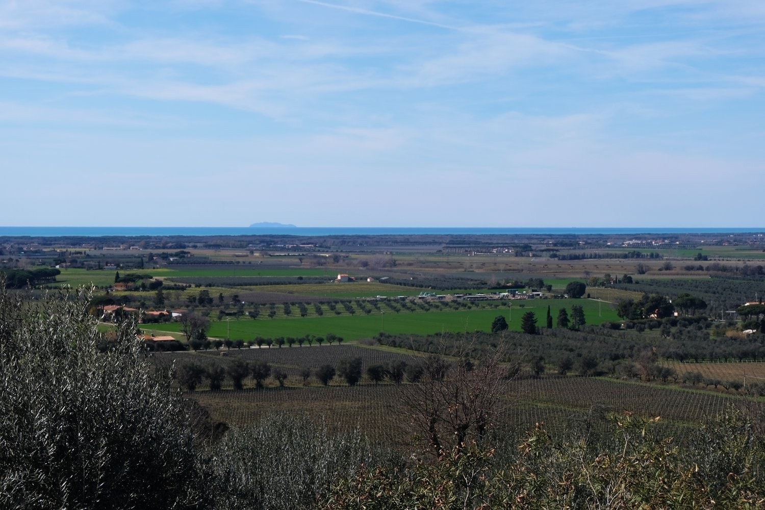Bolgheri - Drømmeutsikt til Middelhavet og til vindistriktet Bolgheri Galleribilde