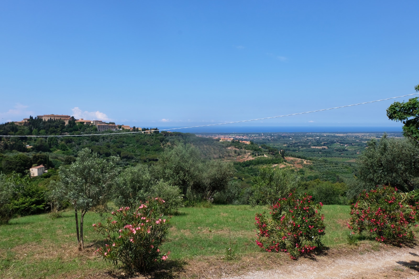 Det er veldig grønt her i Castagneto C. Galleribilde