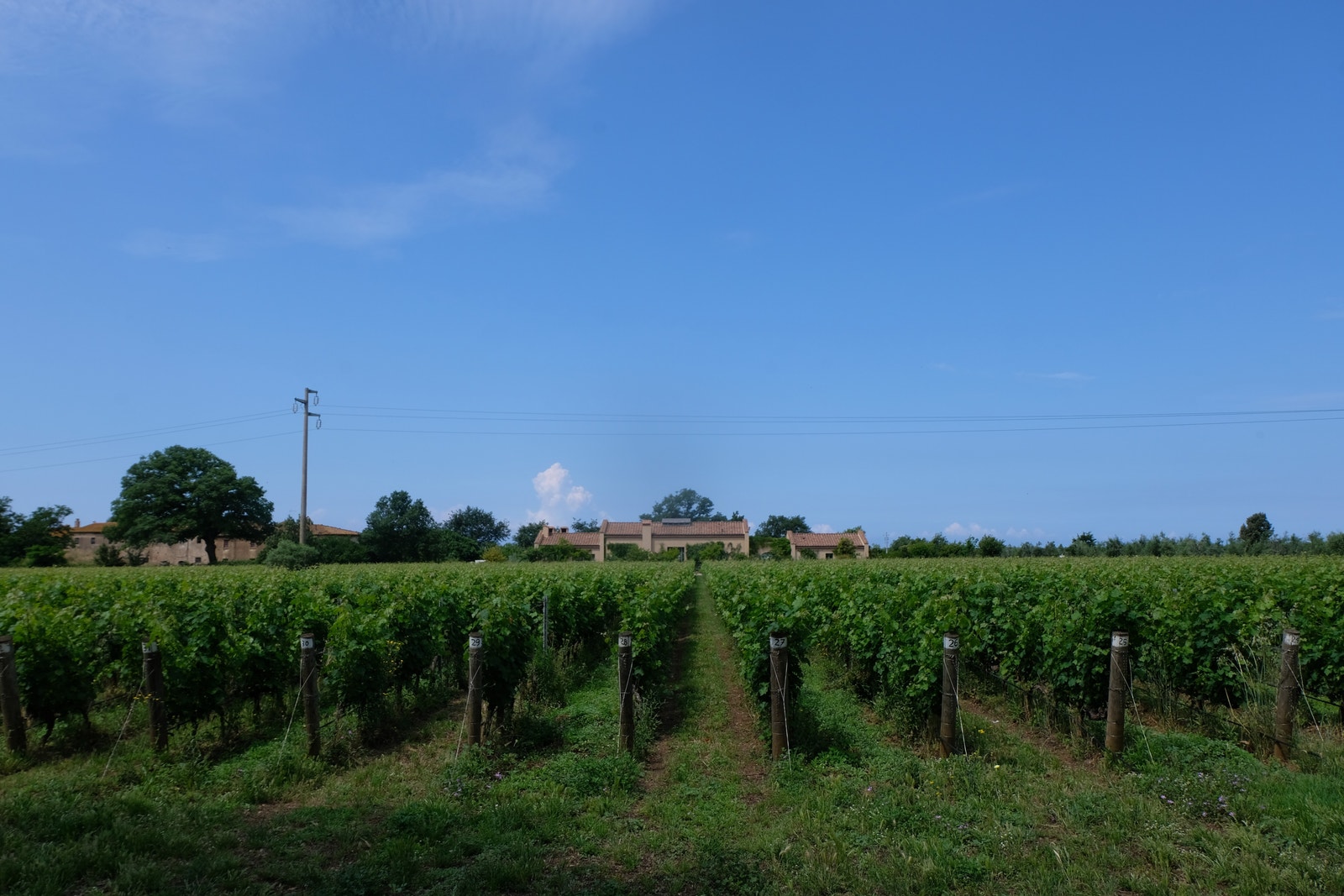 Bolgheri 07.06.2023 Galleribilde