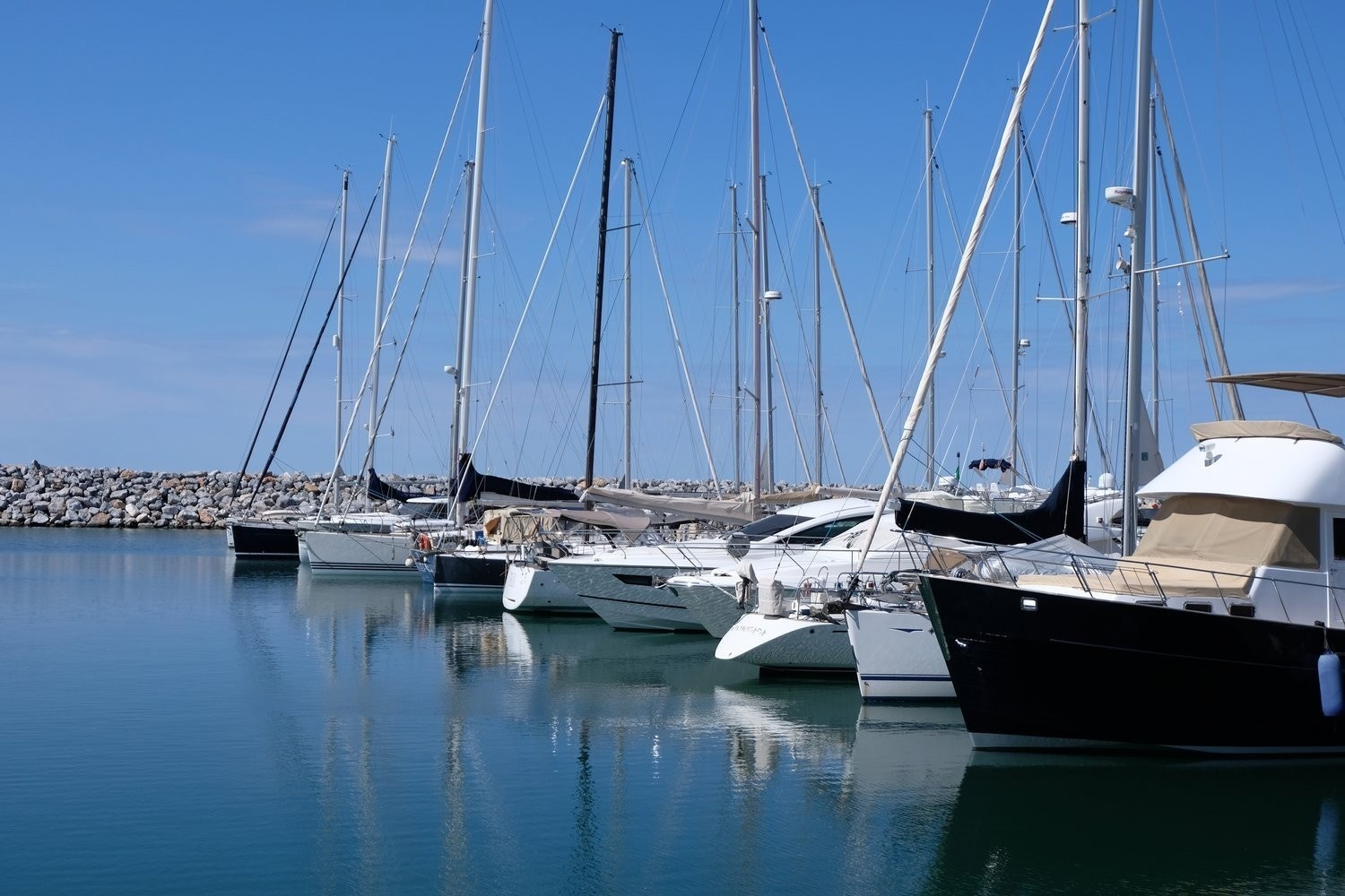 Turisthavnen i San Vincenzo Galleribilde