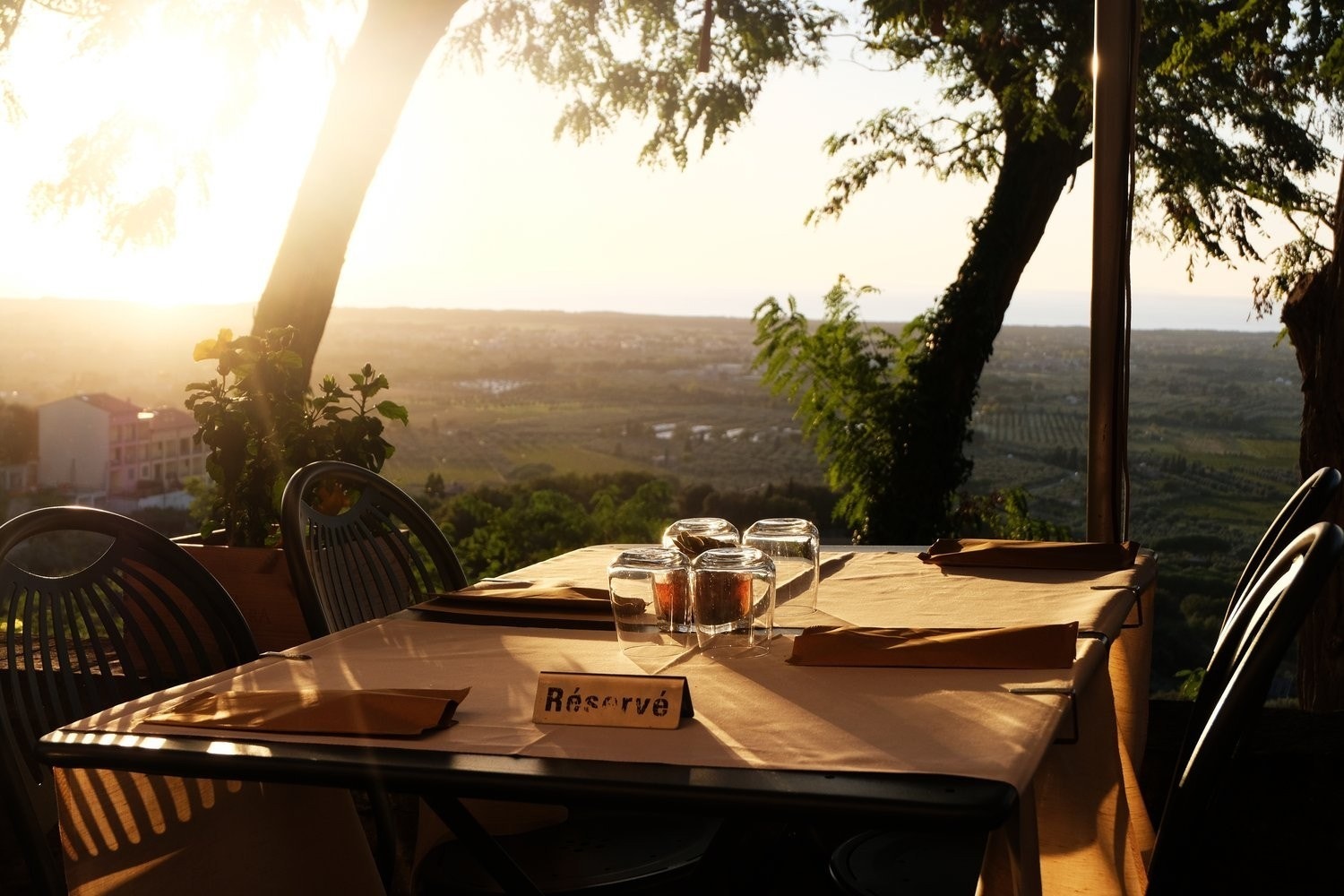 Bolgheri et av verdens vakreste vindistrikt! Galleribilde