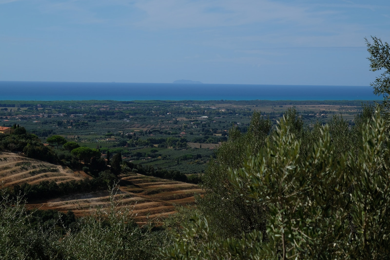 Utsikten er en drøm. Galleribilde