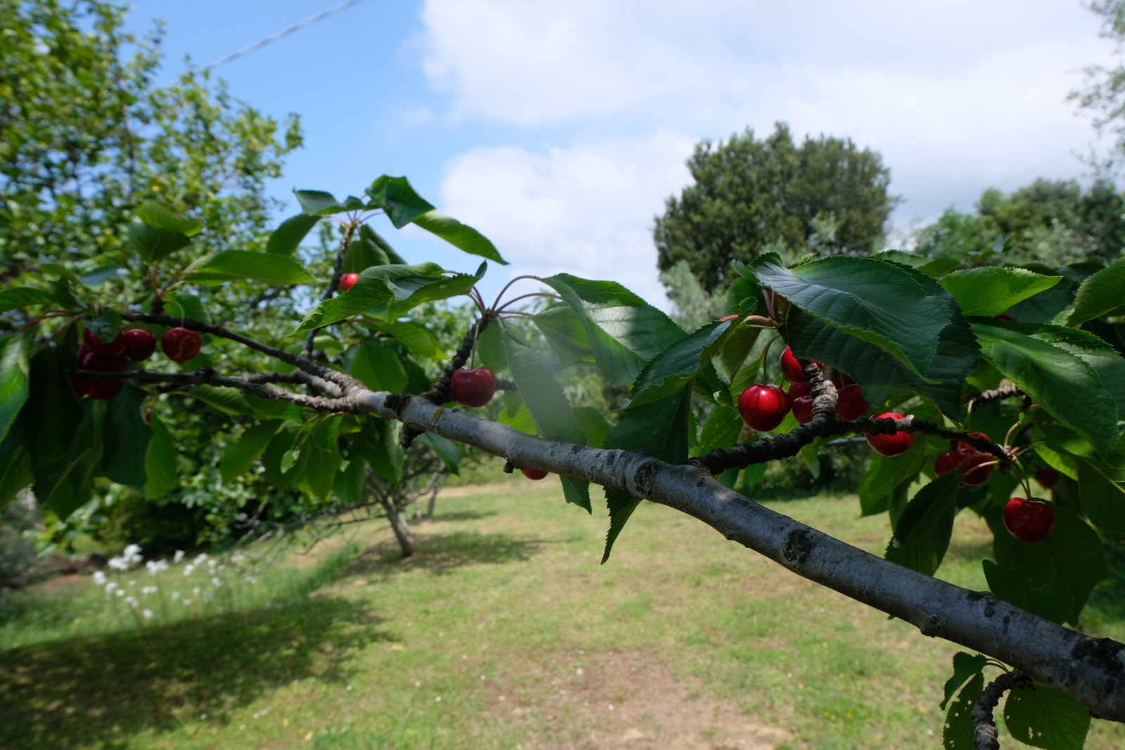 Foto 7.06.2023 Galleribilde