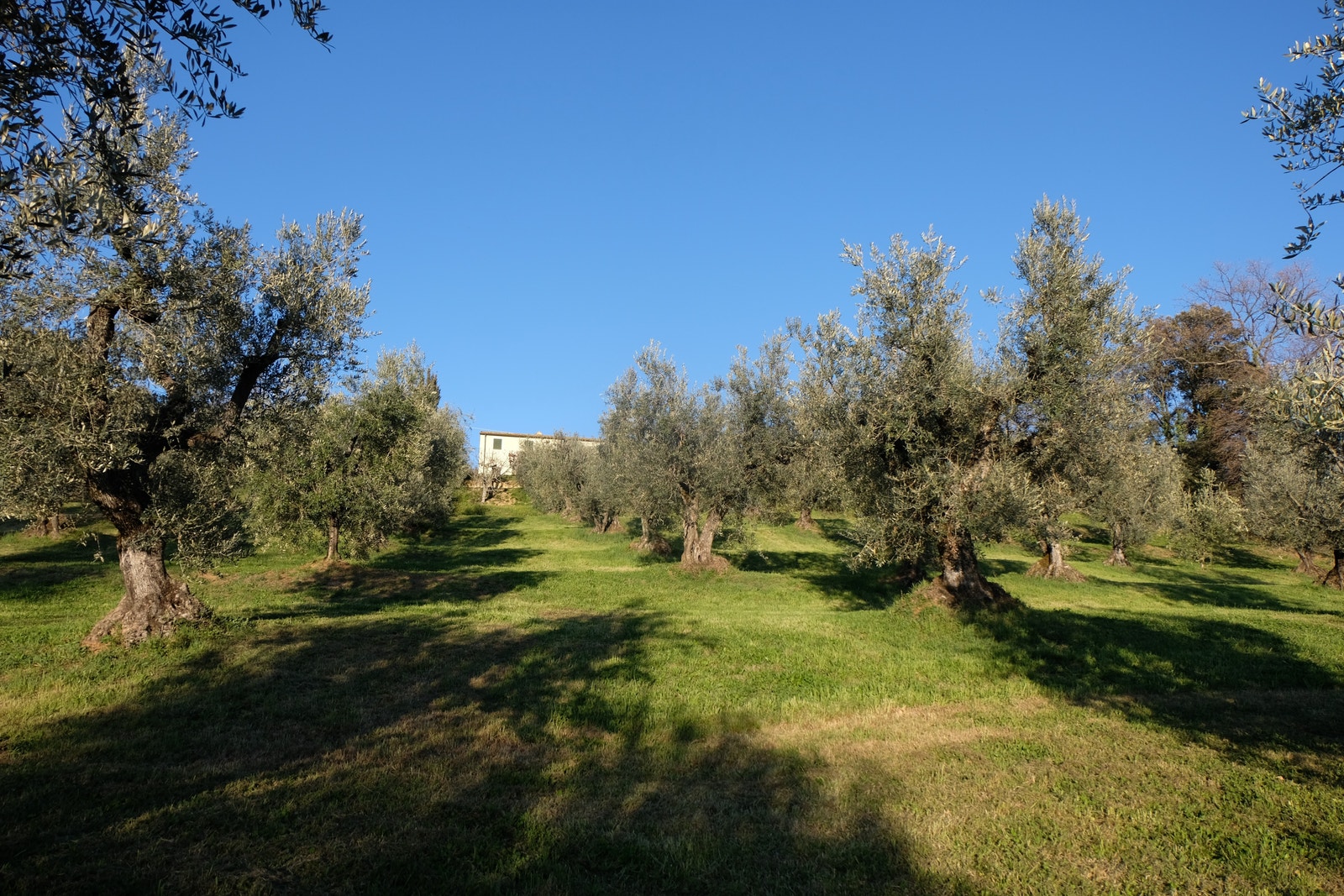 Foto tatt 28.03.2023 Galleribilde