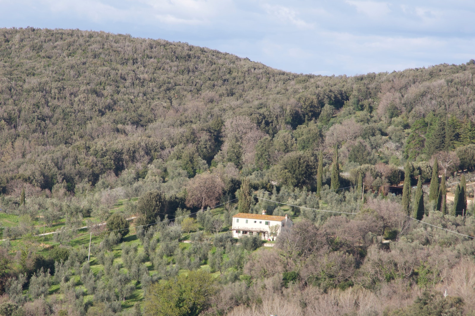 Eiendommen Galleribilde