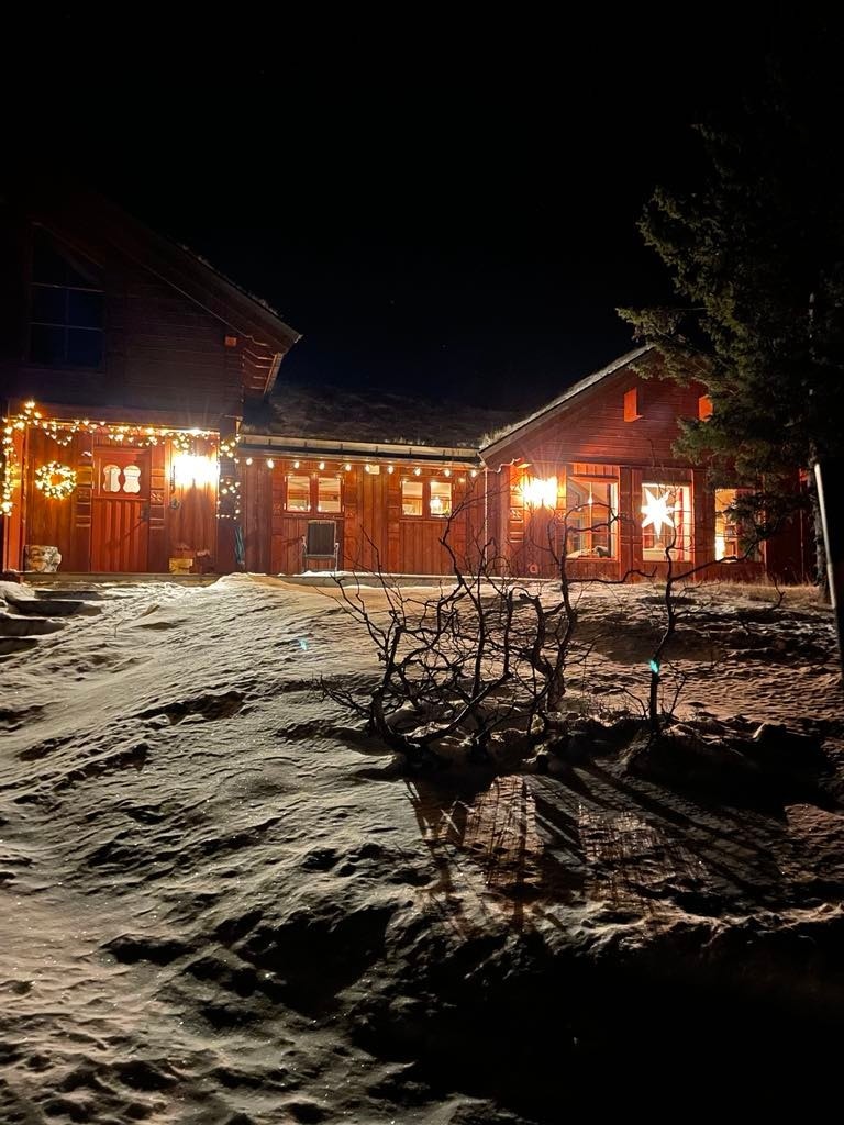 Selgers private bilder. Galleribilde