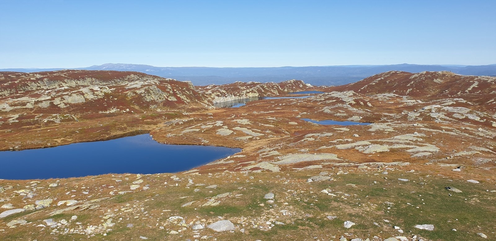 Selgers private bilder. Galleribilde