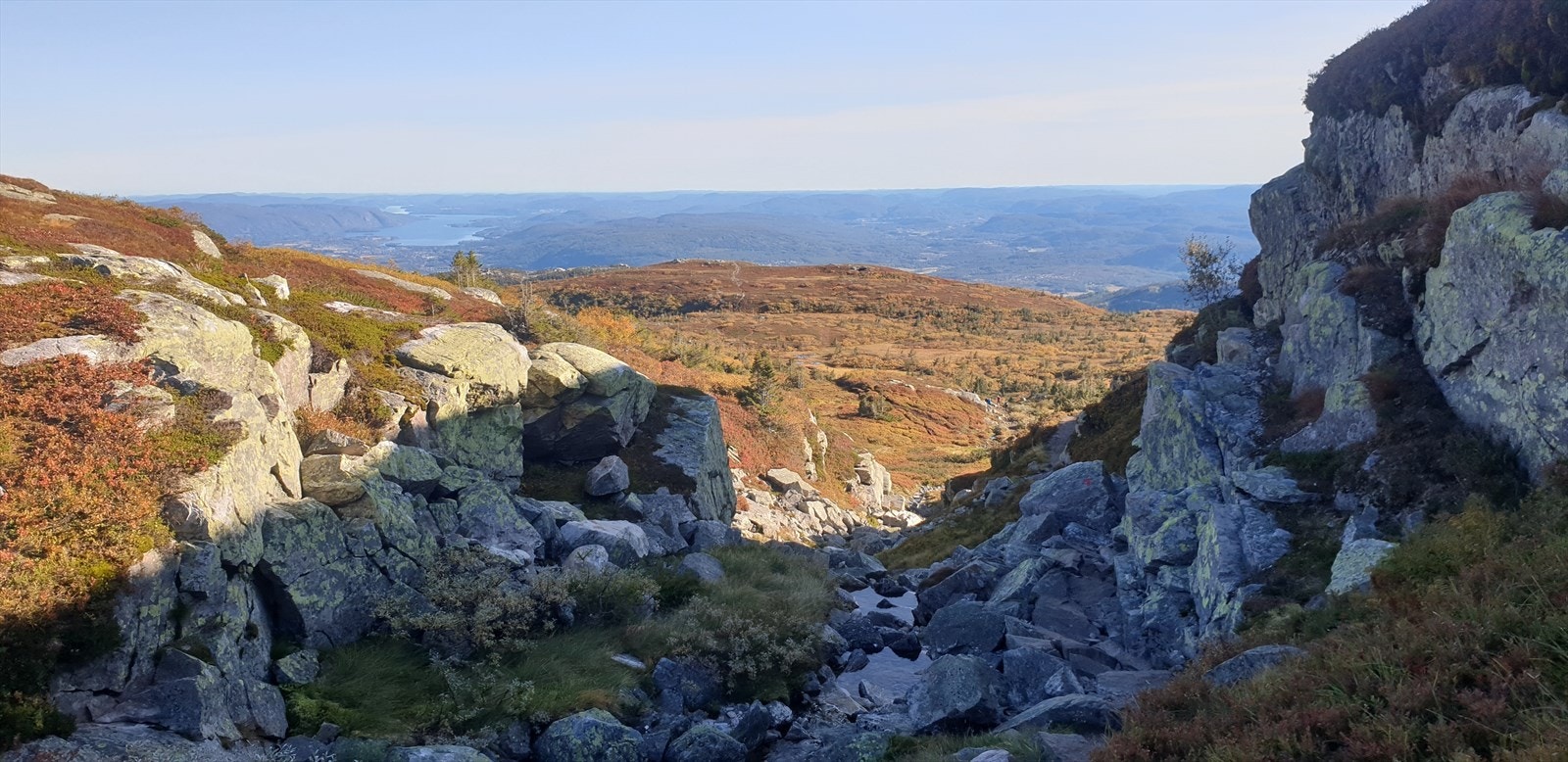 Selgers private bilder. Galleribilde