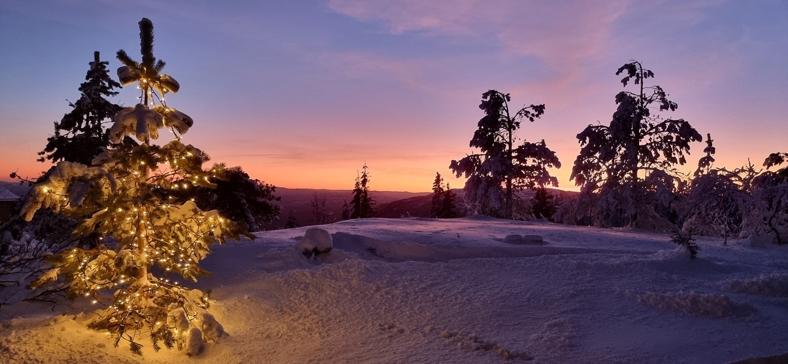 Selgers private bilder. Galleribilde