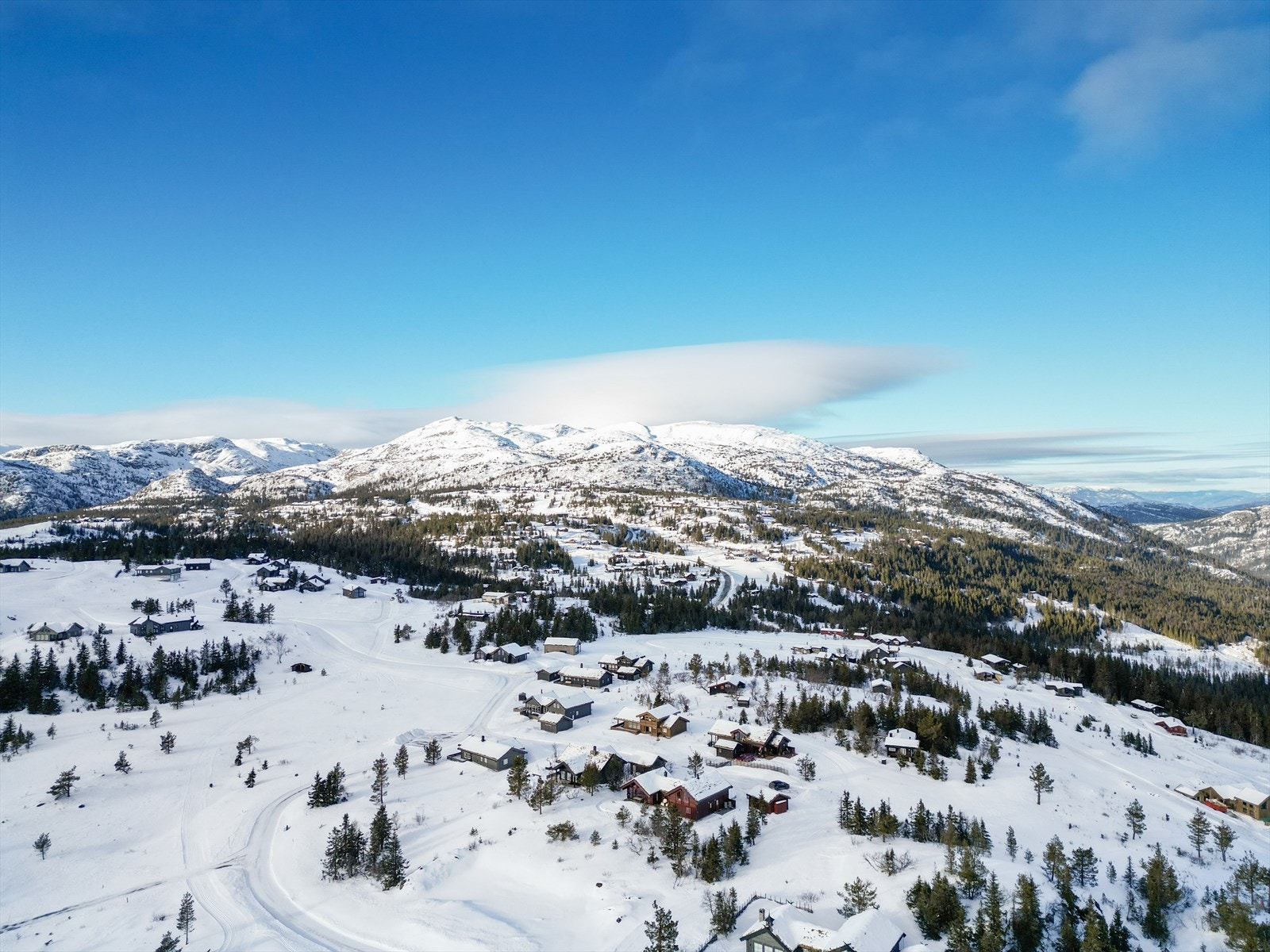 Lifjell byr på fantastiske naturområder med variert terreng hele året. Fra hytta er det ca. 12 km til Bø sentrum med sine servicetilbud og kulturliv. Galleribilde