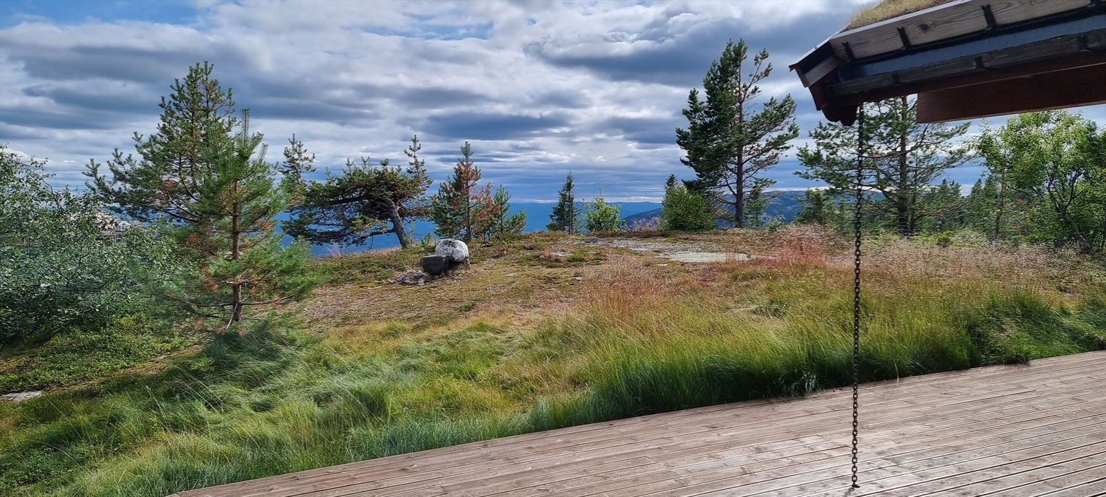 Selgers private bilder. Galleribilde