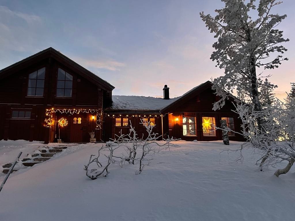 Selgers private bilder. Galleribilde