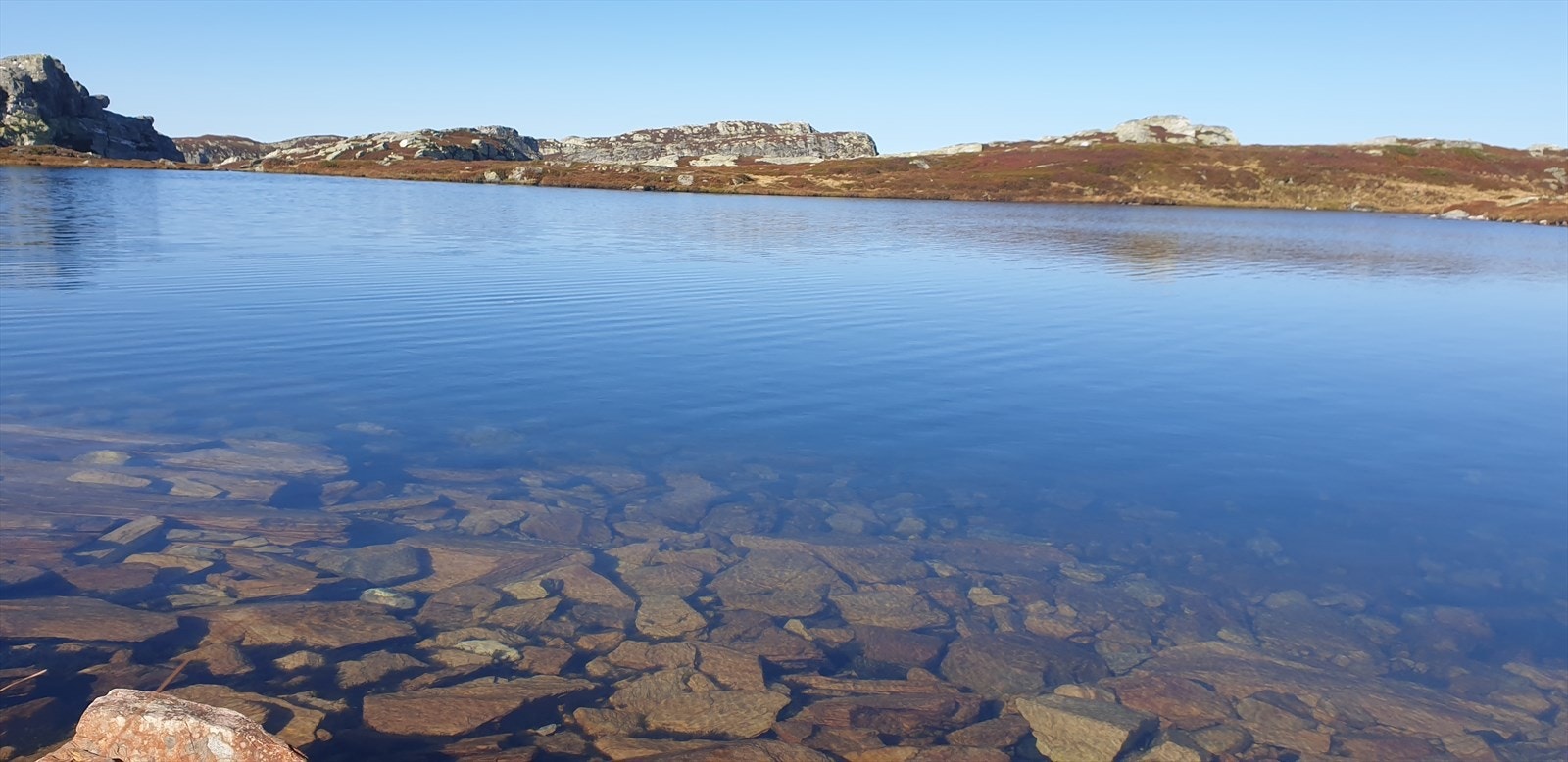 Selgers private bilder. Galleribilde