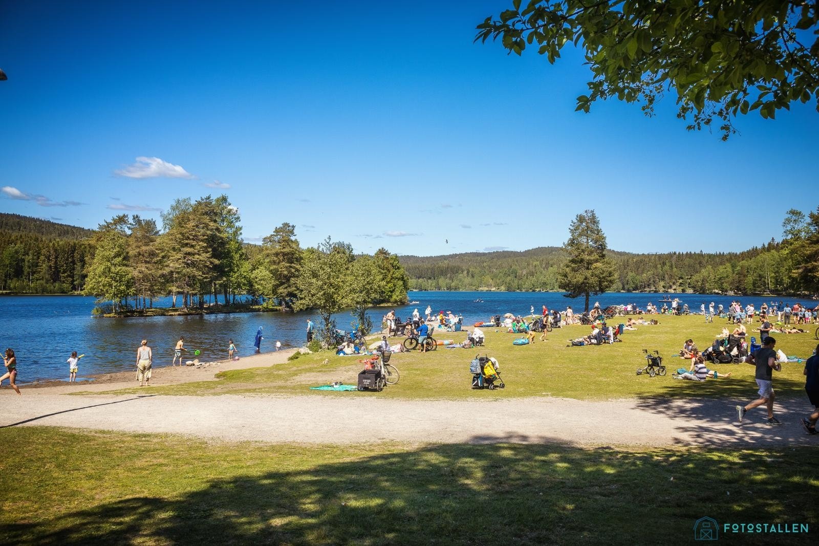 Sognsvann med bademuligheter og turmuligheter ligger ca. 3,5 km spasertur fra eiendommen. Galleribilde