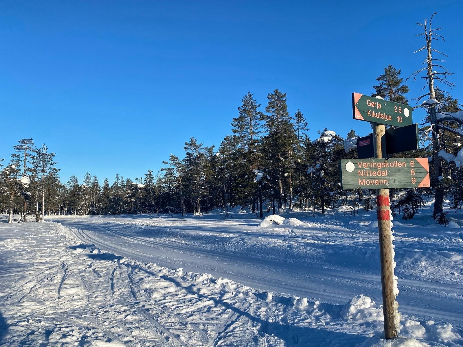 Marka ligger rett i nærheten med milevis med skiløyper. Galleribilde