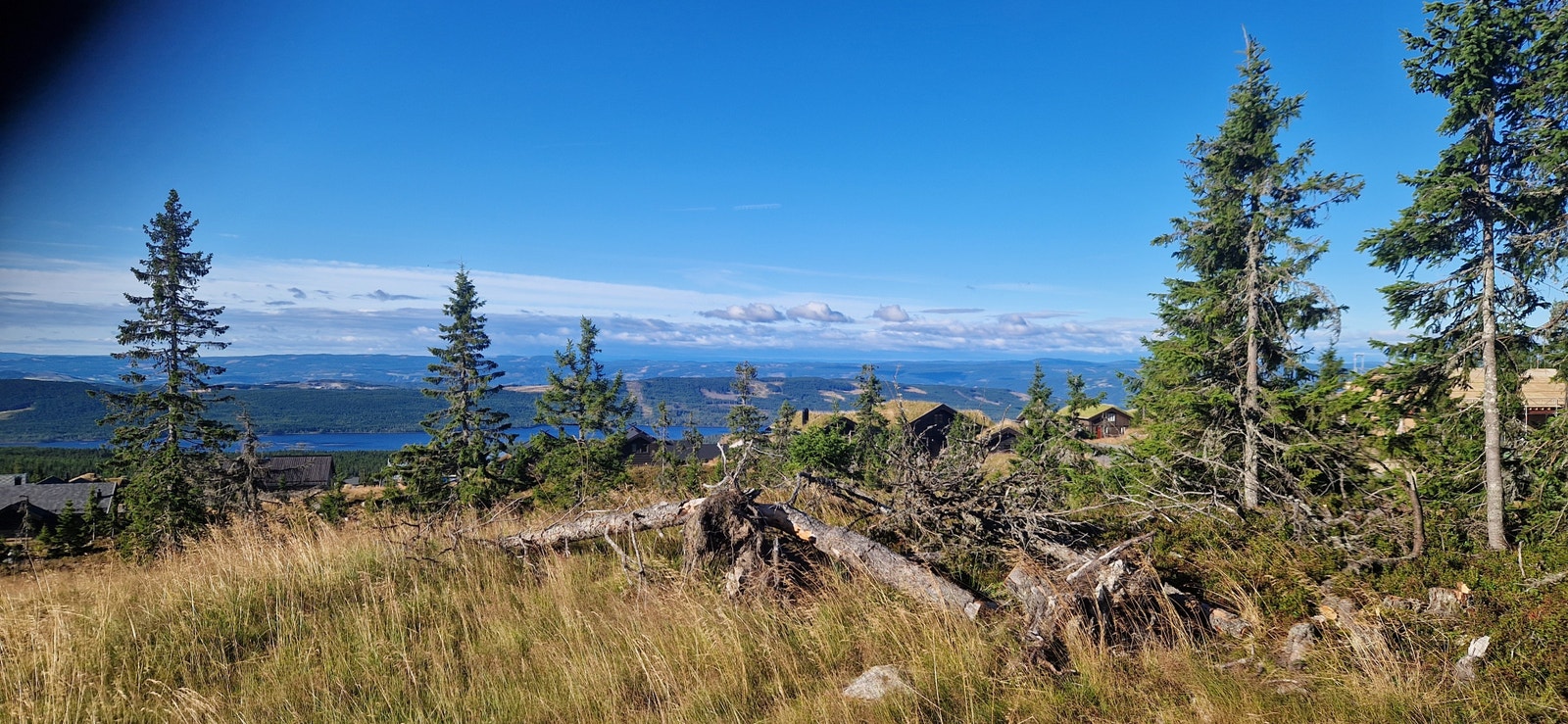 bilde fra tomt 71 som slippes 4. okt. Galleribilde