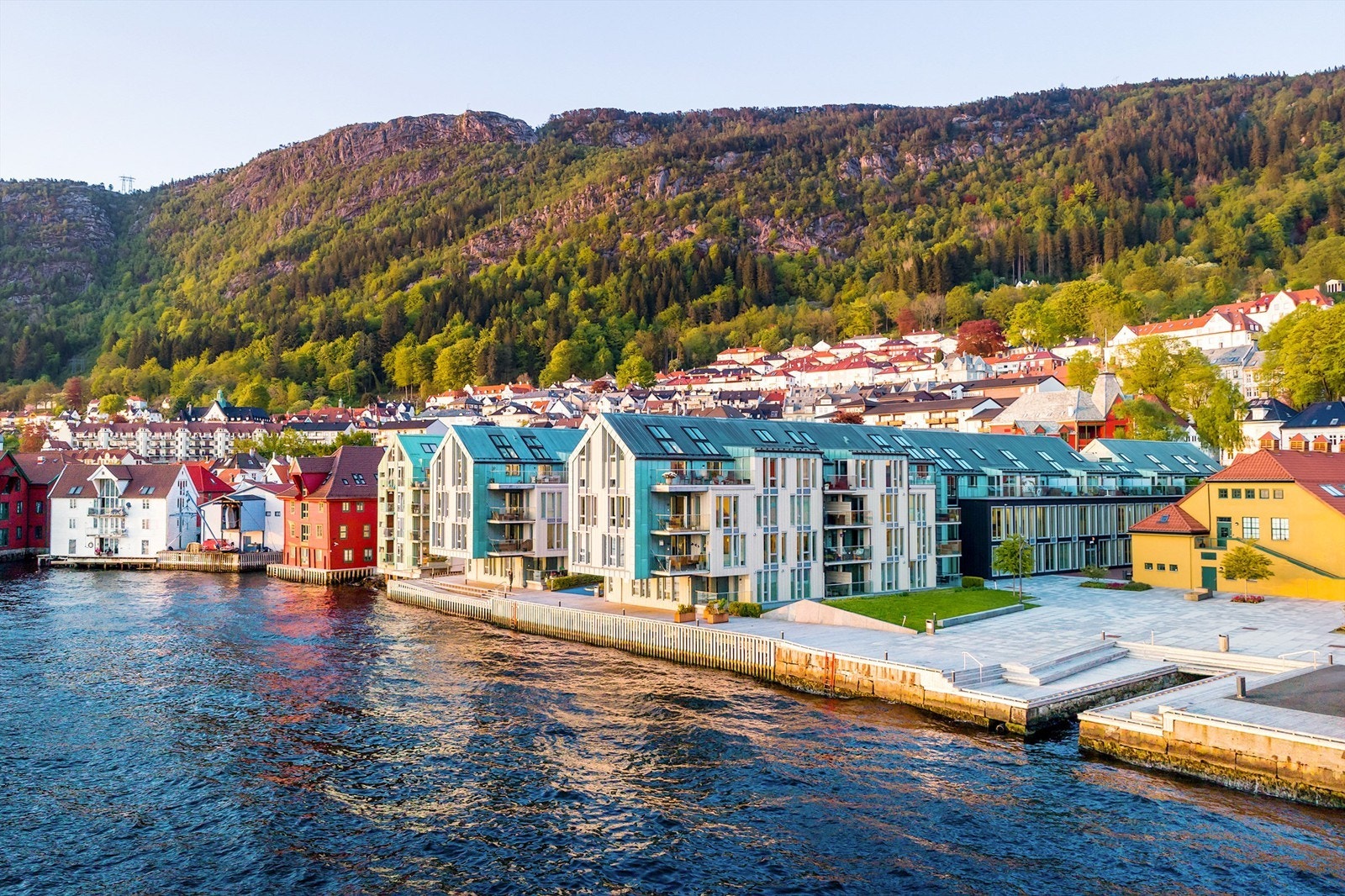 Flotte områder i sjøkanten Galleribilde