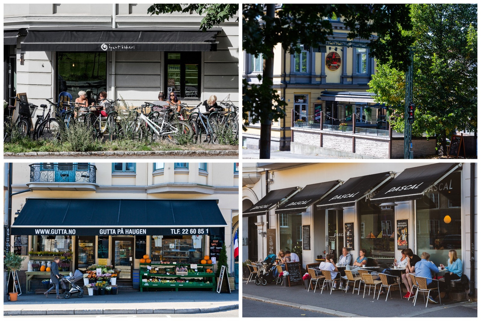 I nærområdet finner du et rikt utvalg av kaféer, restauranter og spesialforretninger. Galleribilde