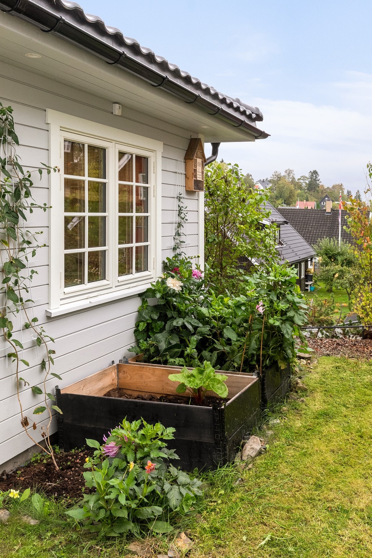 Solid utestue i samme stil som huset. Frodig uteareal med frukt og bærhage opparbeidet med bistand fra Flinke hender AS i 2025 Galleribilde