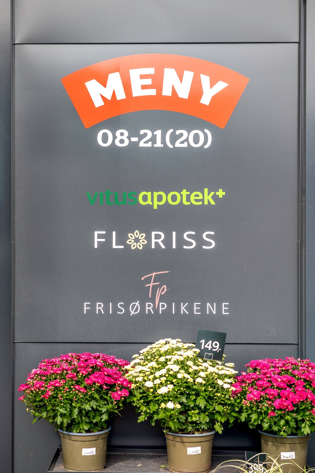 I Frysjaparken er det en stor Meny butikk, Vitus Apotek, Frysja sushi, Floriss blomster, Jønk burger og Frisørpikene. Galleribilde