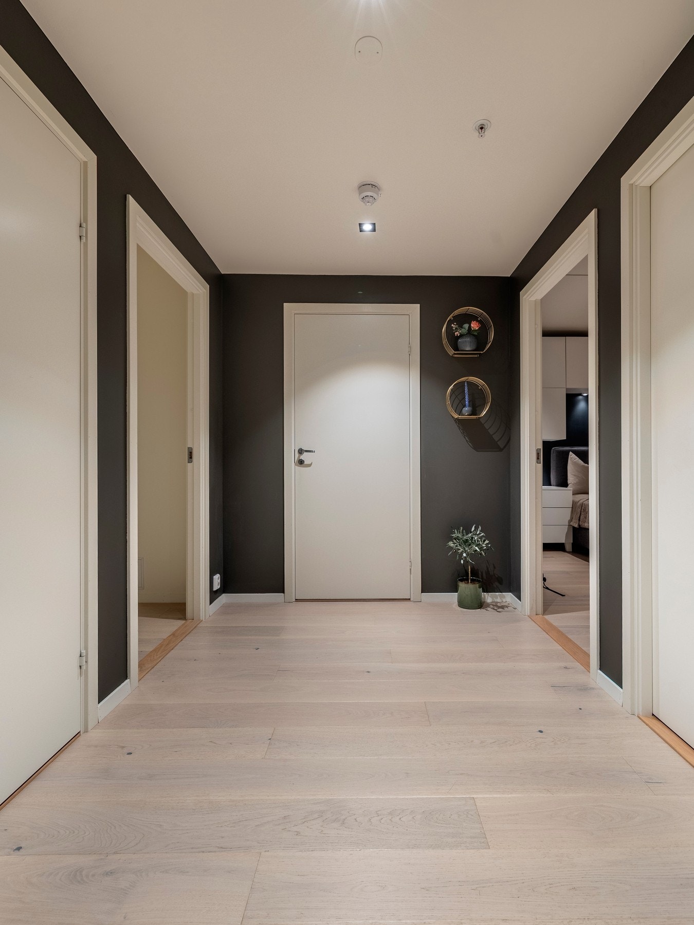Entréen har malte flater på vegger, listefritt tak, downlights og lekker enstavs parkett i hvitoljet eik Galleribilde
