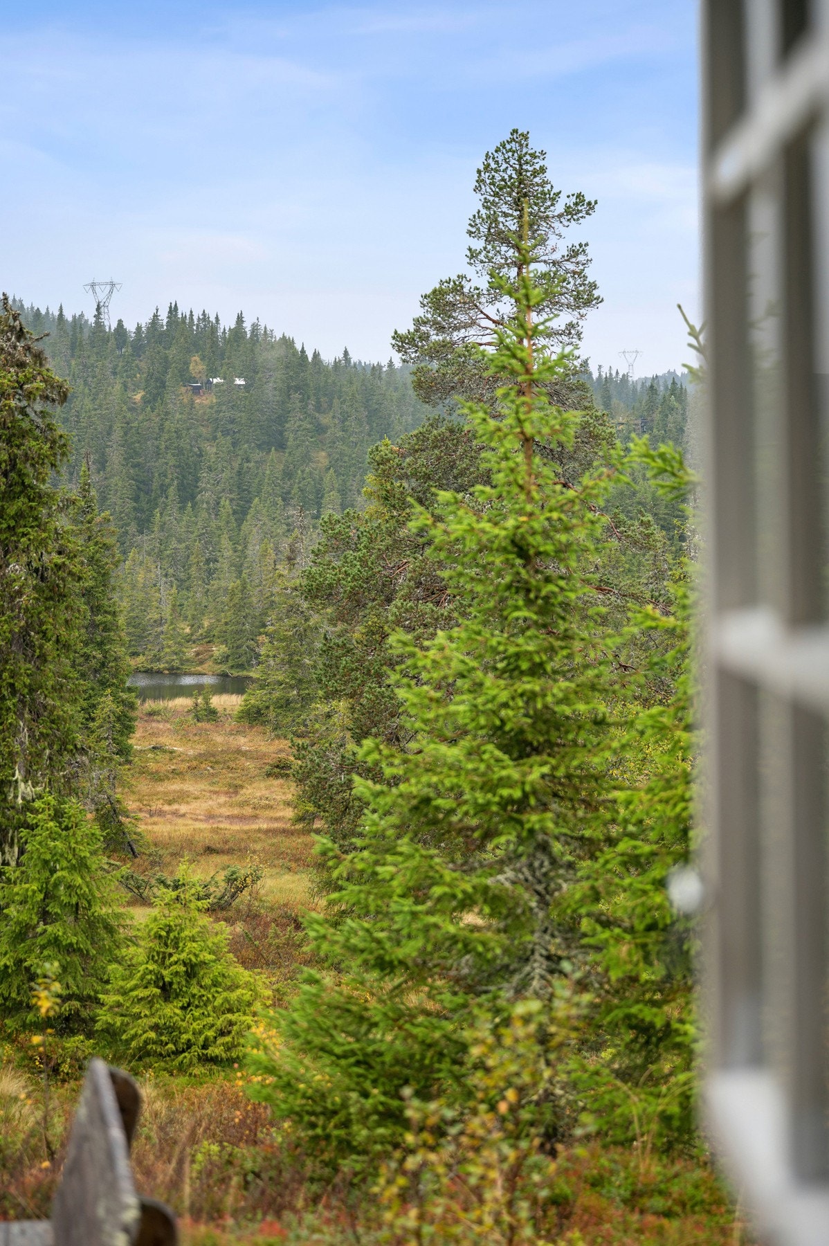 Utsikt til Svarttjern. Galleribilde