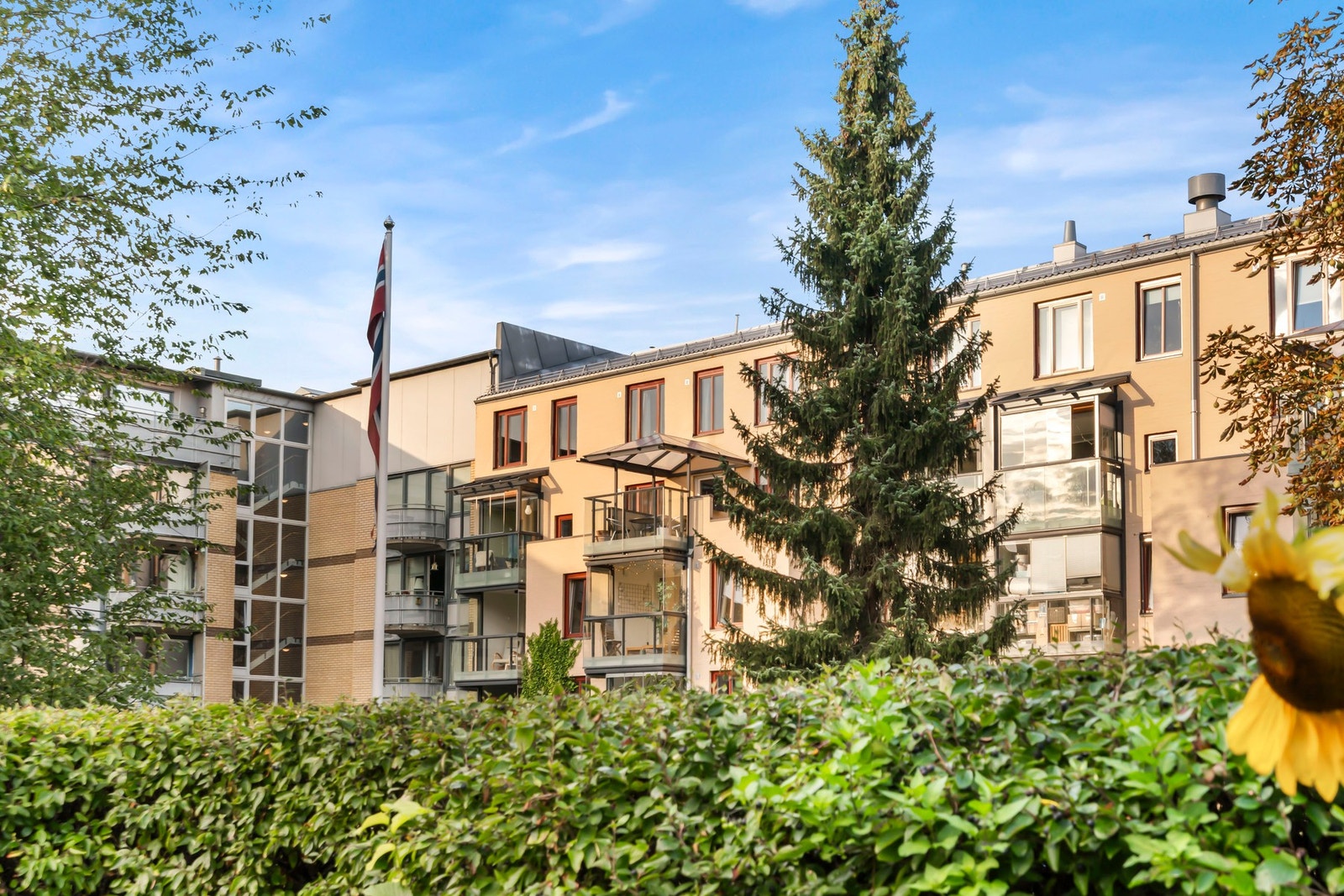 Bakgården er grønn og frodig med flere soner. Sittegrupper, utepeis, plantekasser og trær. Galleribilde