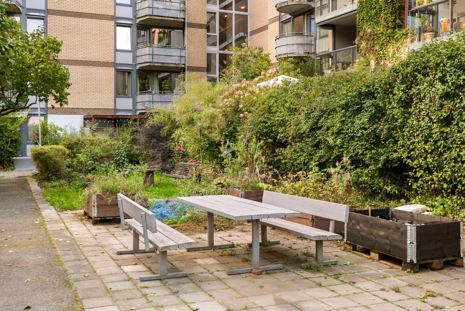 Bakgården er grønn og frodig med flere soner. Sittegrupper, utepeis, plantekasser og trær. Galleribilde