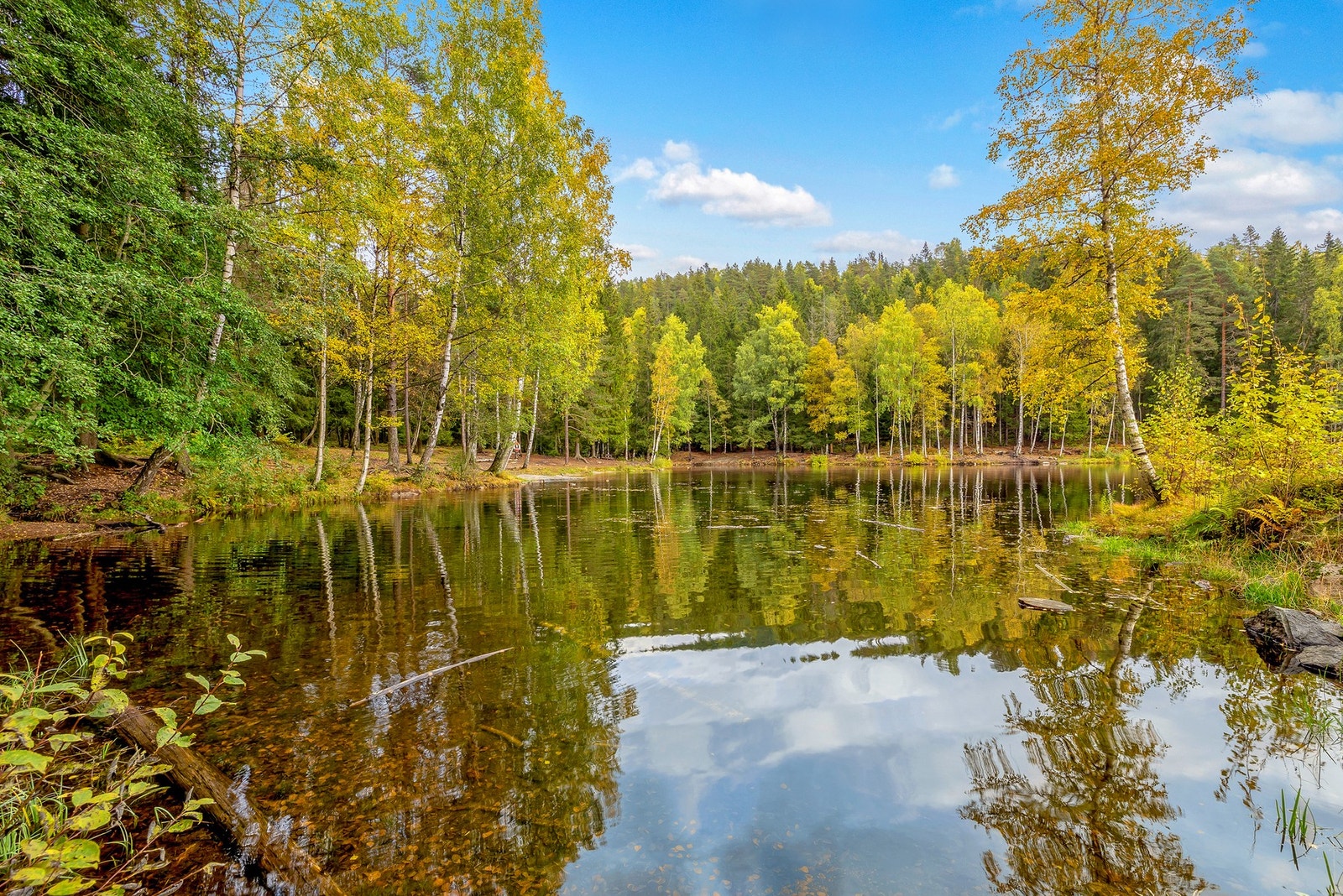 Isdammen øverst i Årvollveien Galleribilde