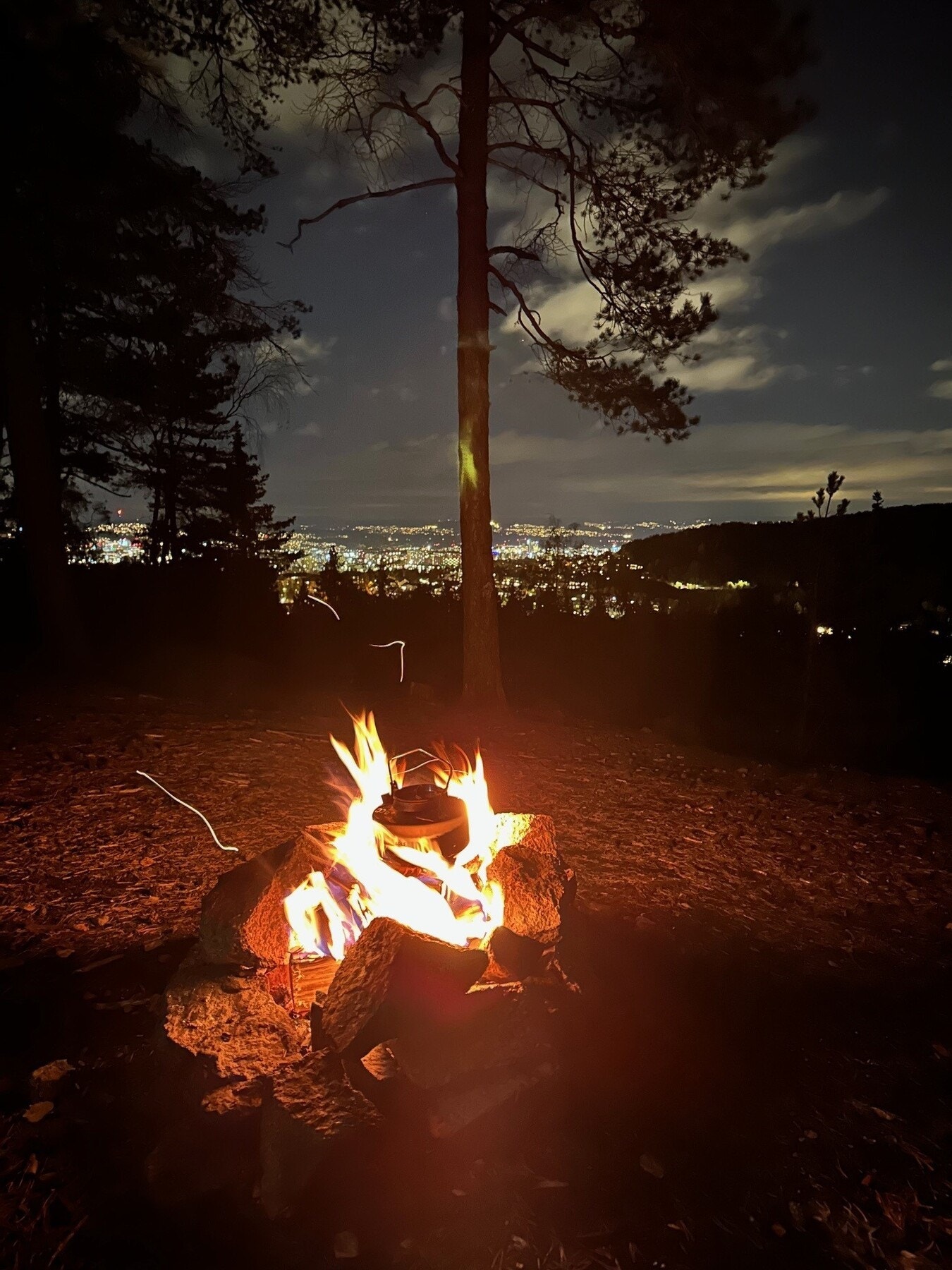Årvollåsen, ca. 13 minutter fra leiligheten - kveldsstemning Galleribilde
