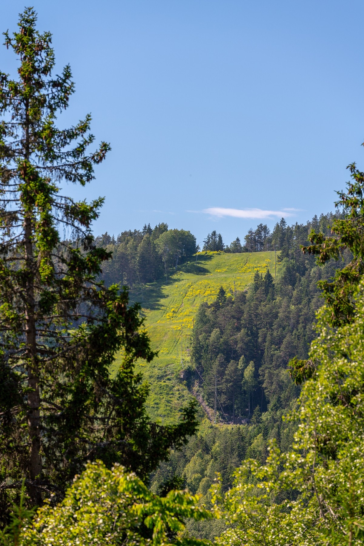 Grefsenkleiva - flott sted både sommer og vinter Galleribilde
