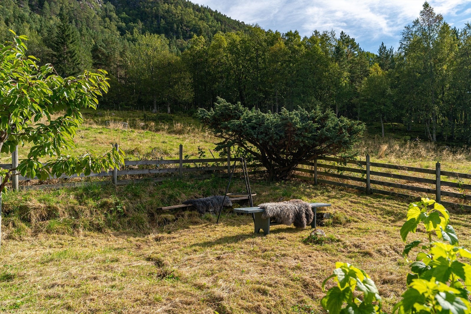 Eiendommen har en koselig hage med et stort potensial. Galleribilde